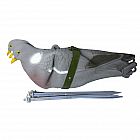view Easy Fold Pigeon Decoy details