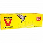 view Victor Bird Spikes 50cm Length 10 Pack details